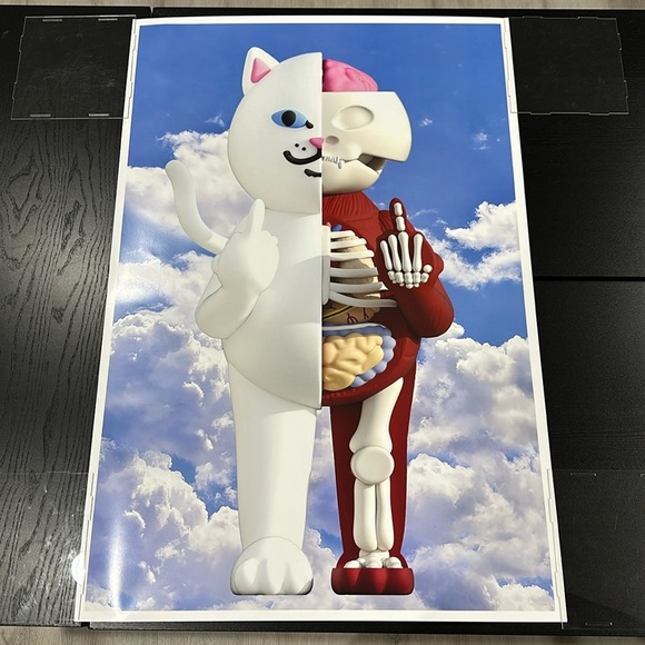 Rip N Dip Poster - Picture 1 of 2